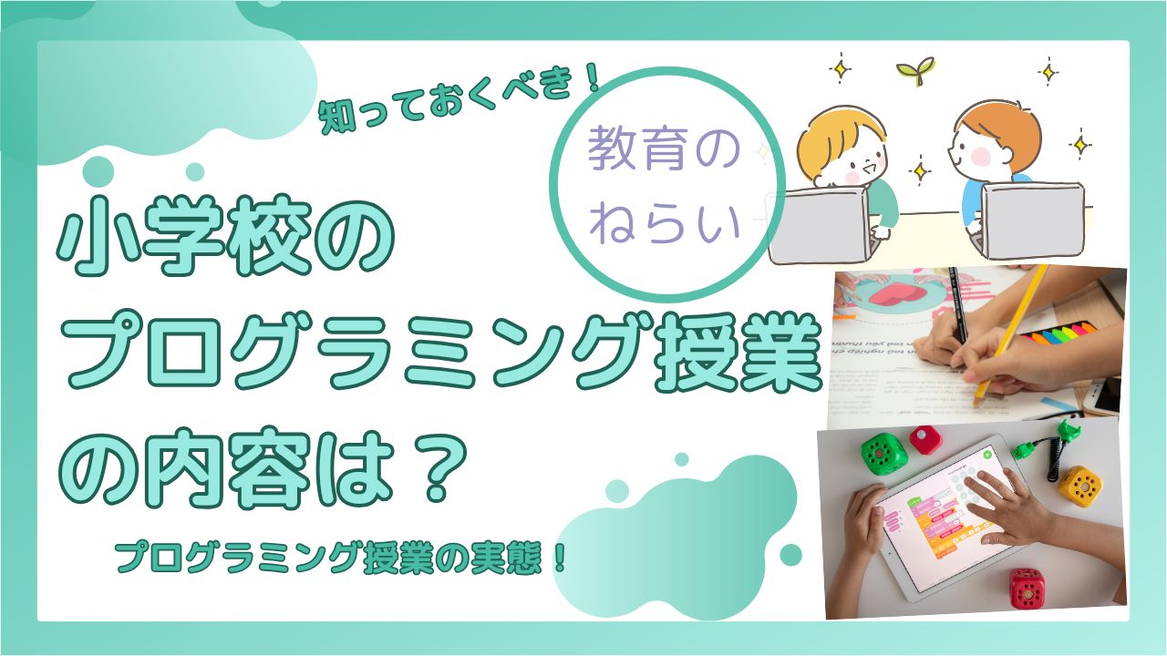 プログラミング 授業 内容